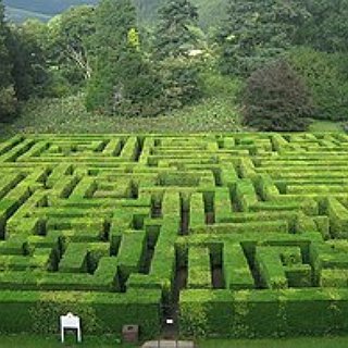BucketList + Wander A Hedge Maze