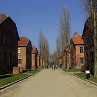 BucketList + Learned About Auschwitz In Krakov Poland