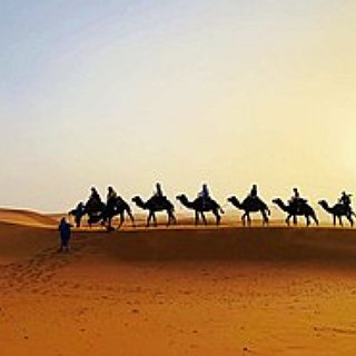 BucketList + Sandboarded In The Sahara Desert