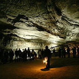 BucketList + Visit Mammoth Cave National Park