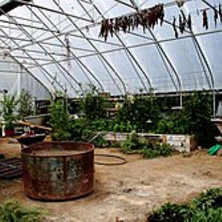 BucketList + Eat At Suncrest Gardens Pizza Farm In Cochrane, Wisconsin