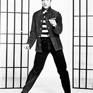 BucketList + Visit The Elvis Karate Fight Plaque In Madison, Wisconsin