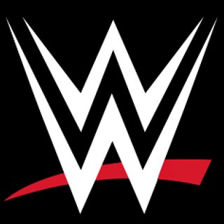 BucketList + Attend A Wwe Match