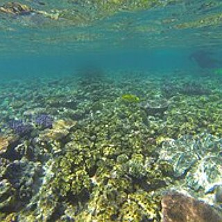 BucketList + Take An Underwater Selfie