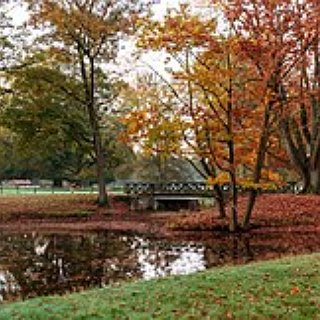 BucketList + Read Autumn Poetry Every Day In Autumn