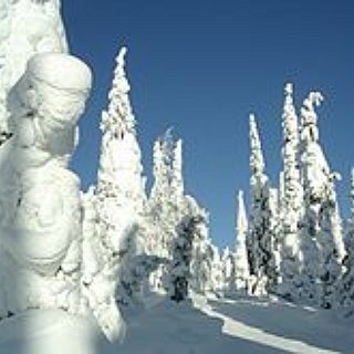 BucketList + Experience Snowfall 