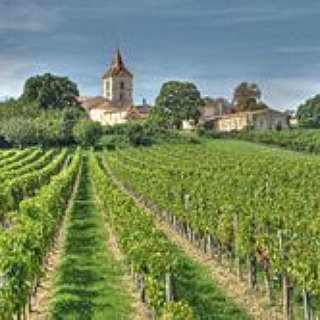 BucketList + Wine Tasting In Bordeaux 