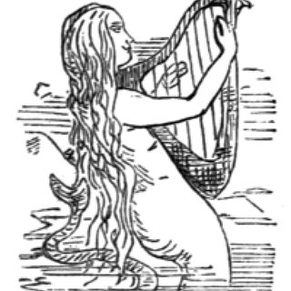 BucketList + Try On Mermaid Tail