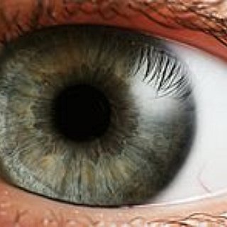 BucketList + Wear Colour Contacts