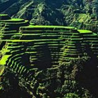 BucketList + I Want To Learn Tagalog