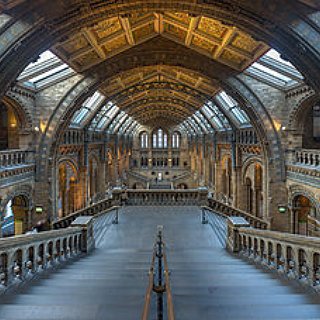 BucketList + Visit Natural History Museum, London