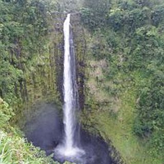 BucketList + Explore The Rain Forest In Hawaii.