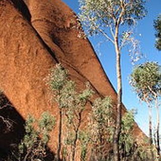 BucketList + Visit Uluru