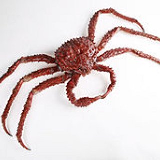 BucketList + Eat At The Crab Shack In Auckland