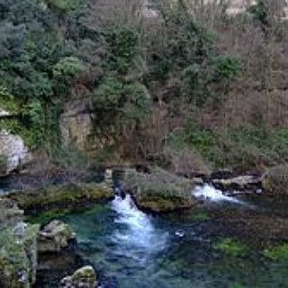 BucketList + Go To Dogwood Canyon Mo
