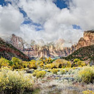 BucketList + Photograph The Top Of Angels Landing, Zion Utah 