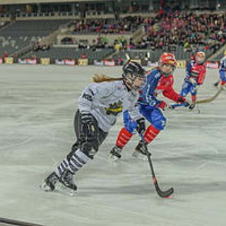 BucketList + Go To A Live Hockey Game